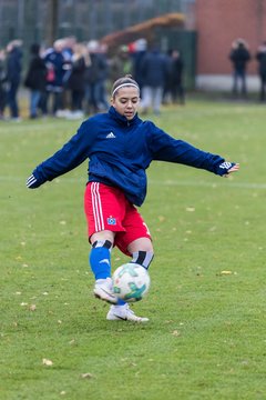 Bild 42 - B-Juniorinnen HSV - VfL Wolfsburg : Ergebnis: 2:1